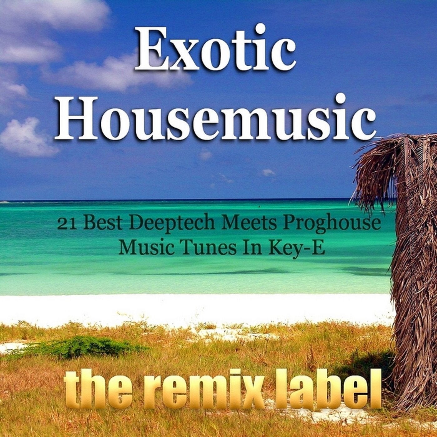 Exotic Housemusic