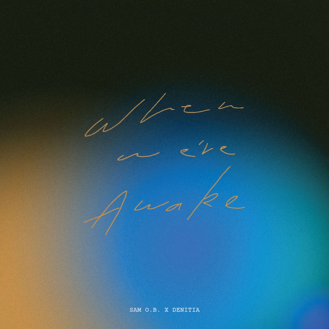 When We're Awake (feat. Denitia)