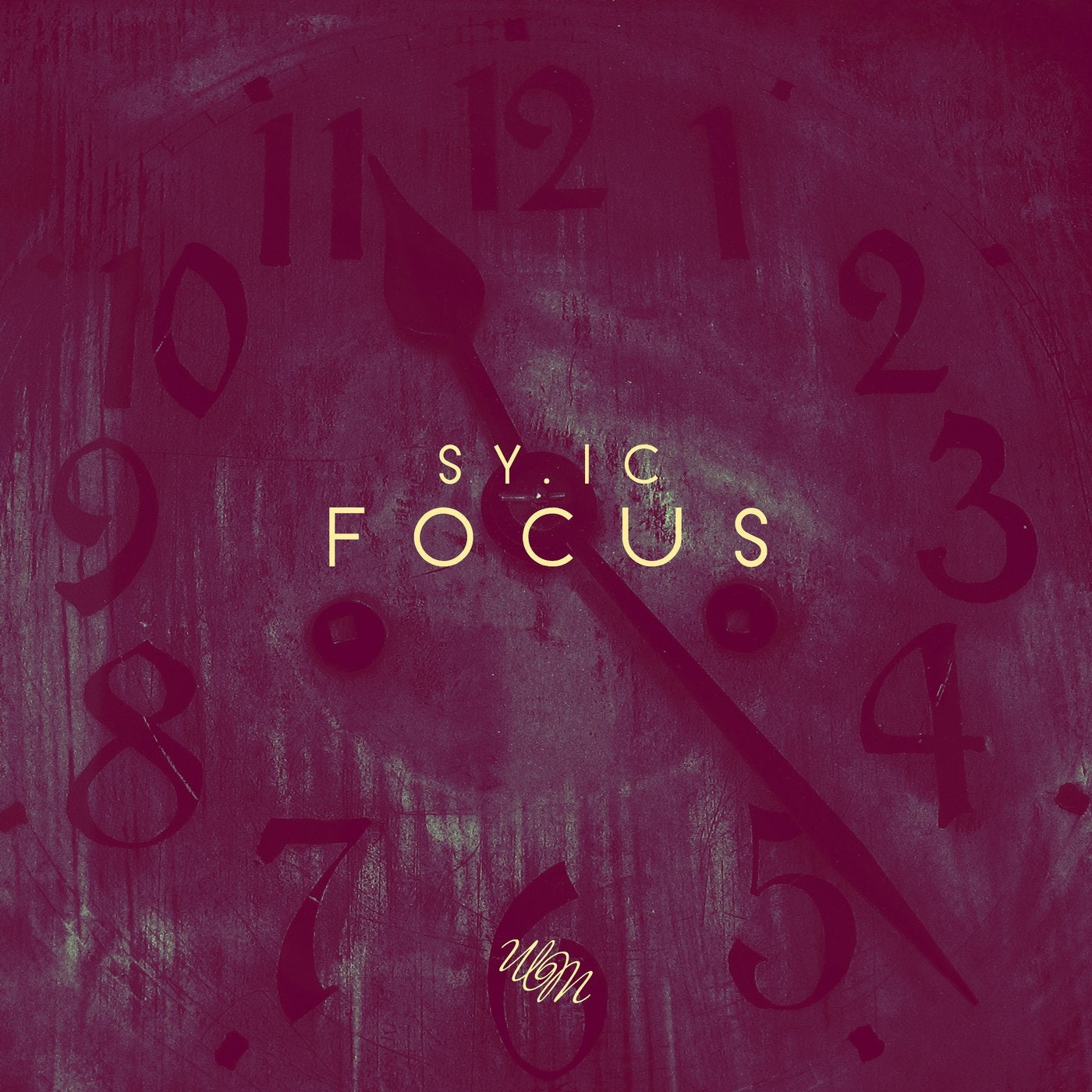 Focus