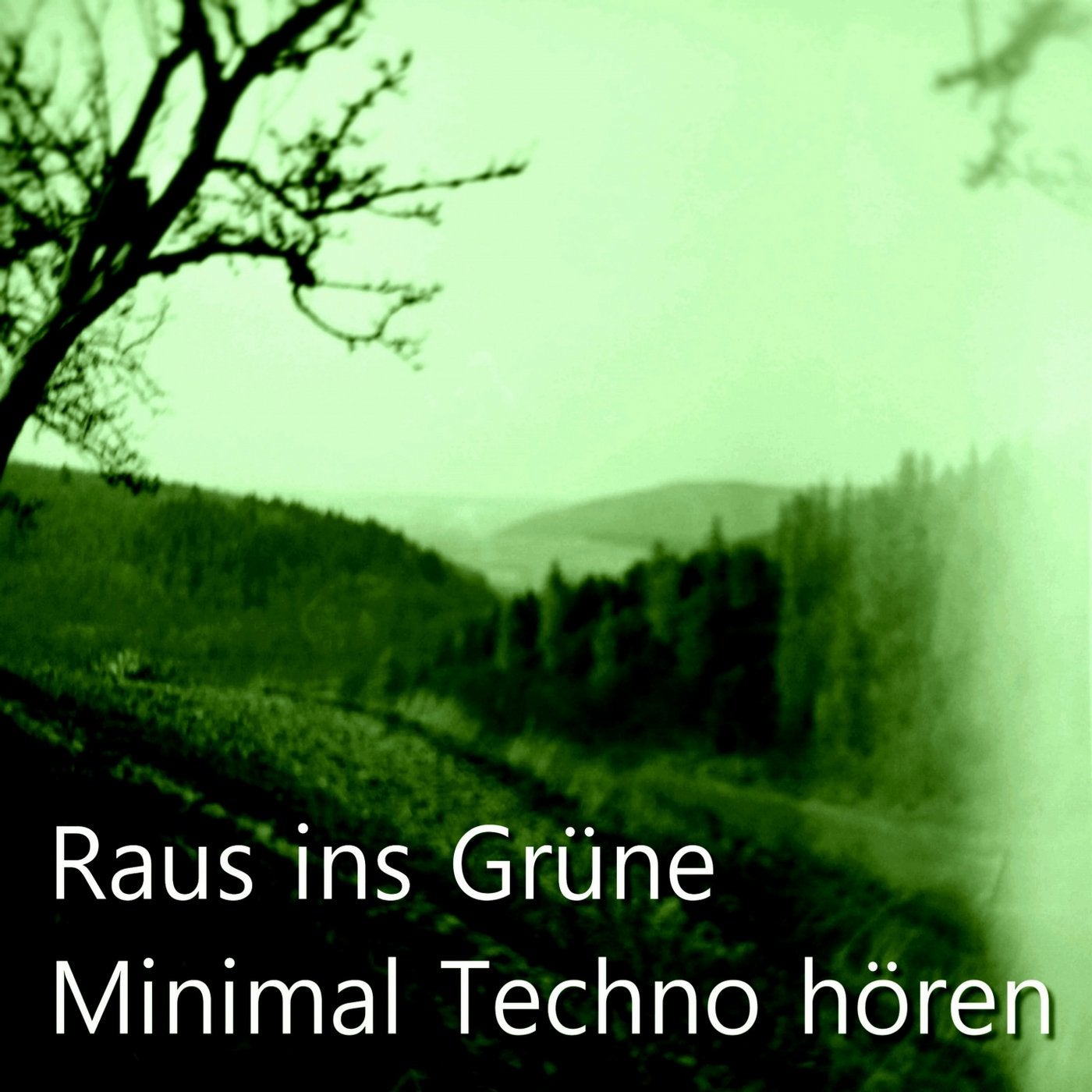Raus Ins Grune (Minimal Techno horen)