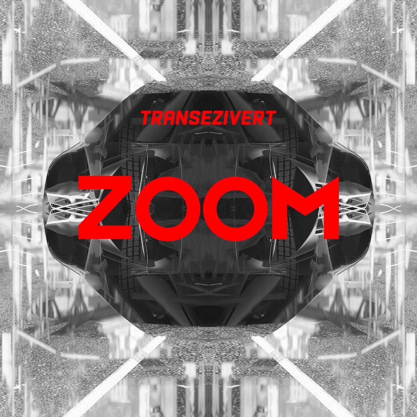 Zoom