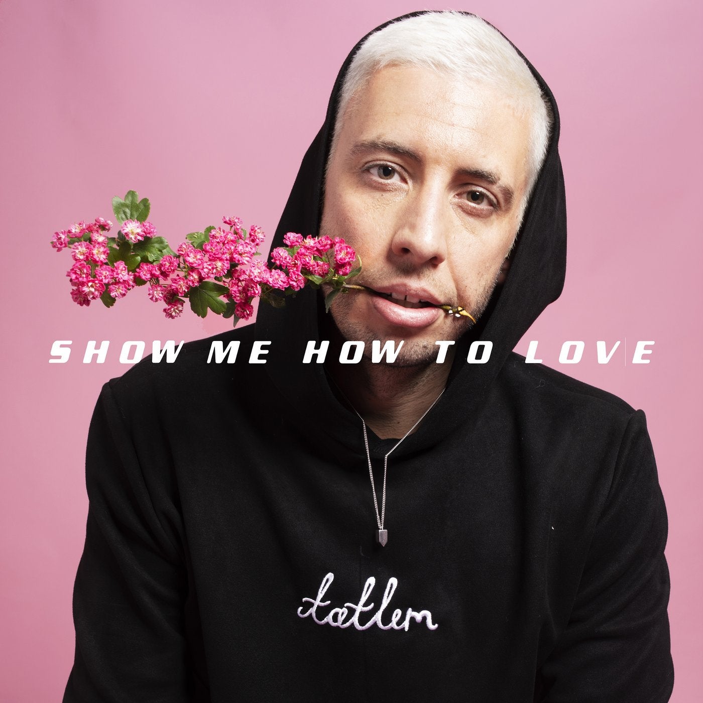 Show Me How to Love feat. Hayla