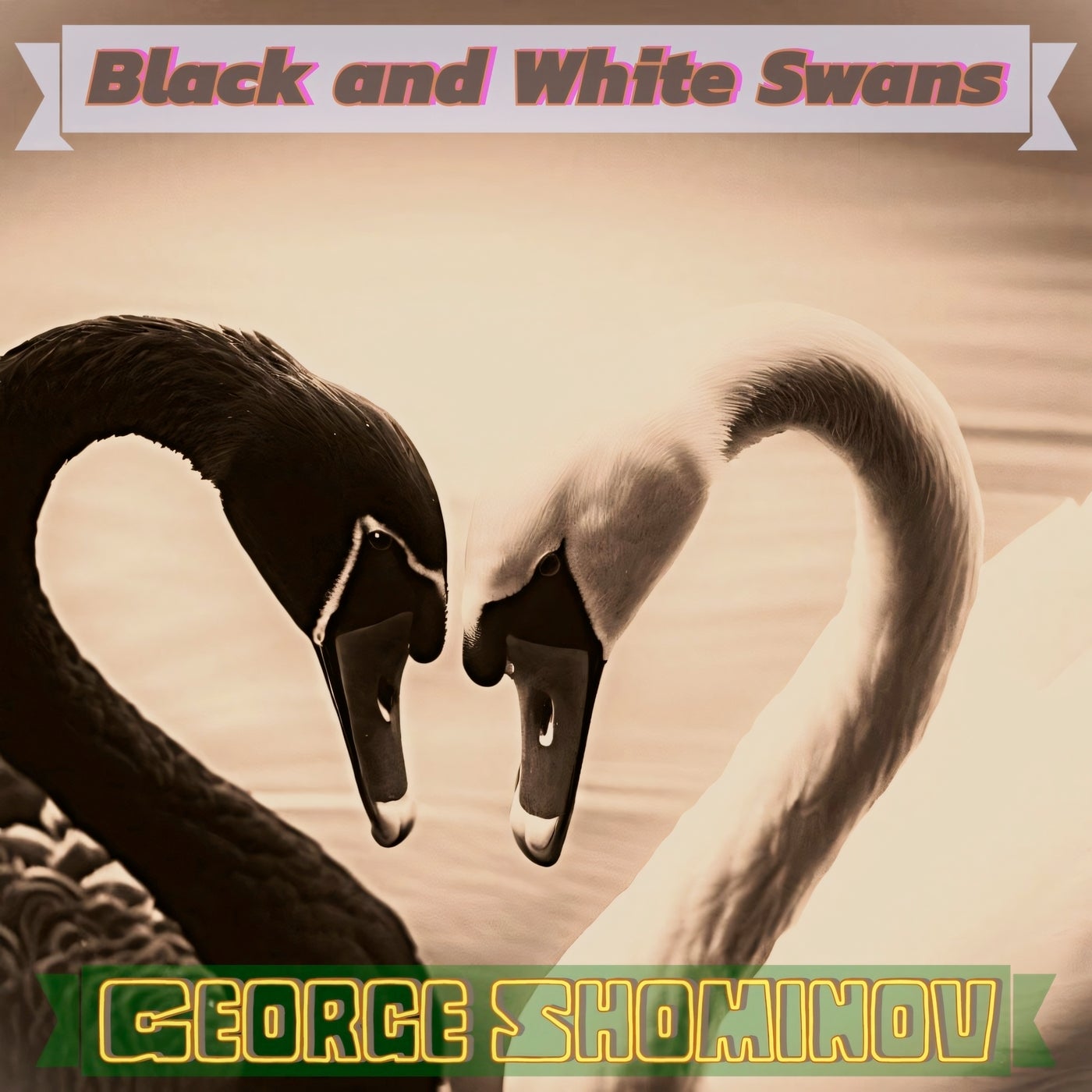 Black and White Swans