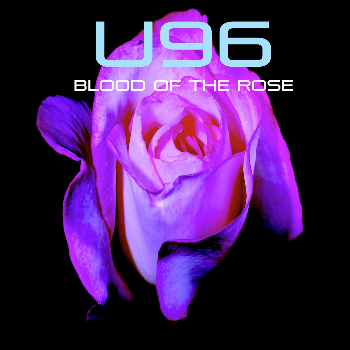 Blood of the Rose
