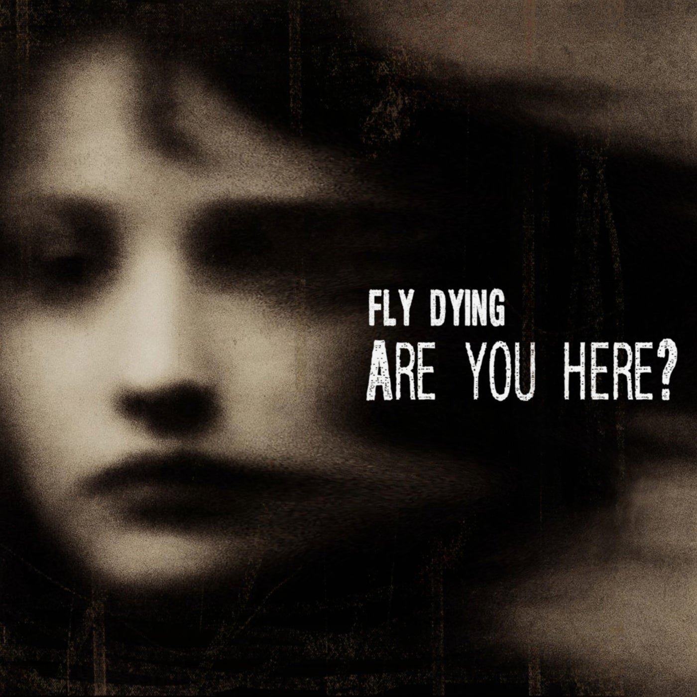 Are You Here?