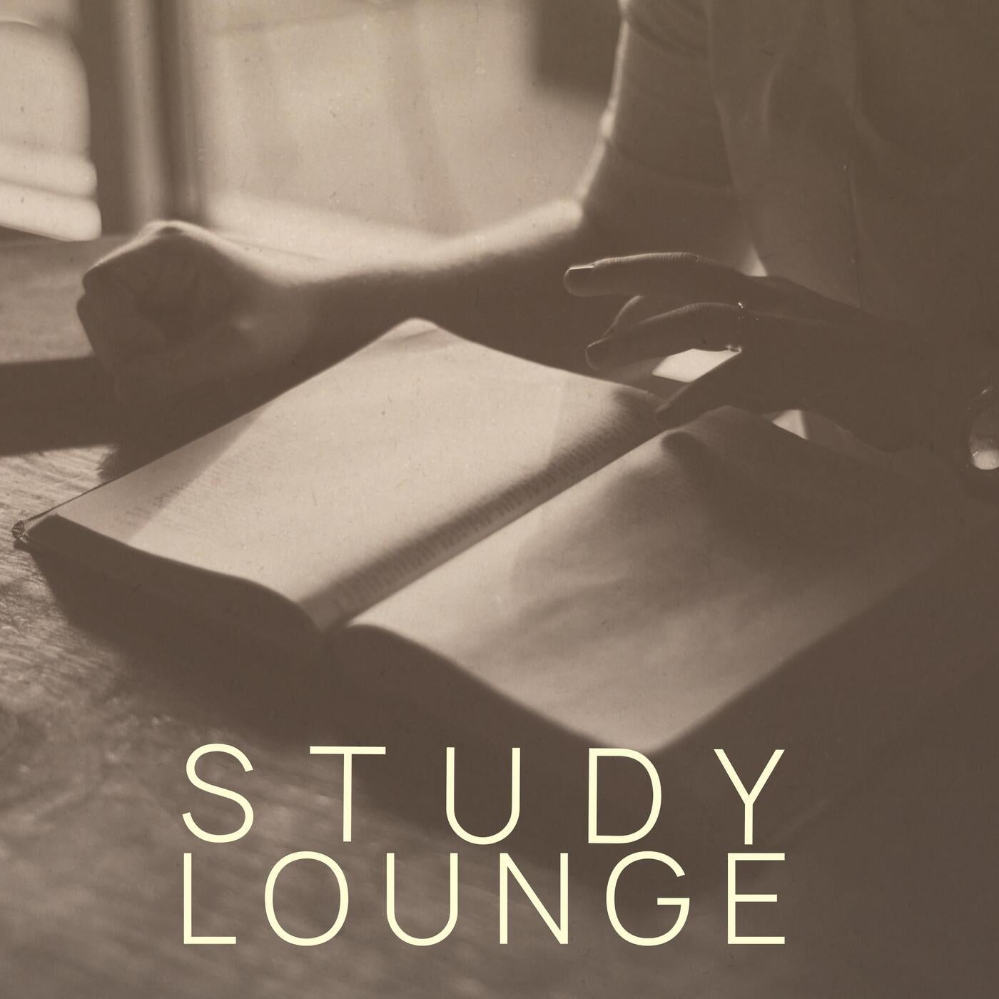 Study Lounge, Vol. 3 (Wonderful Selection Of Electronic Beats For Staying Focused)