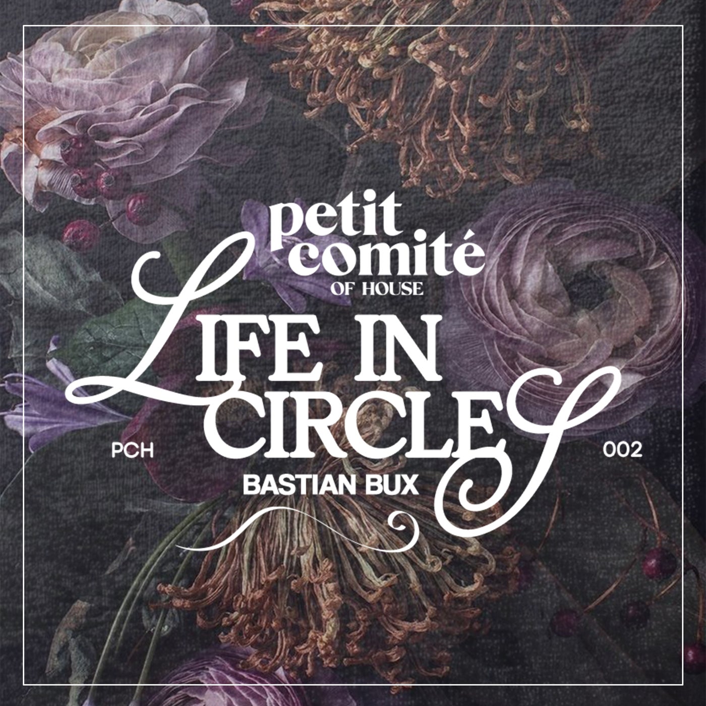 Life In Circles