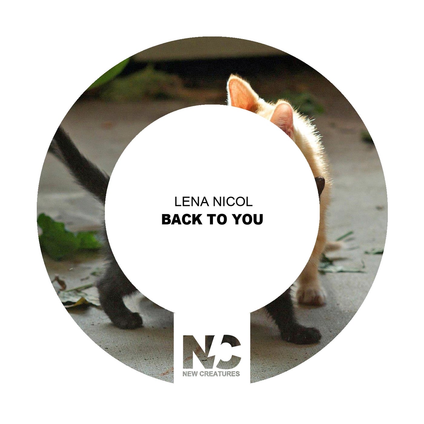 Back To You