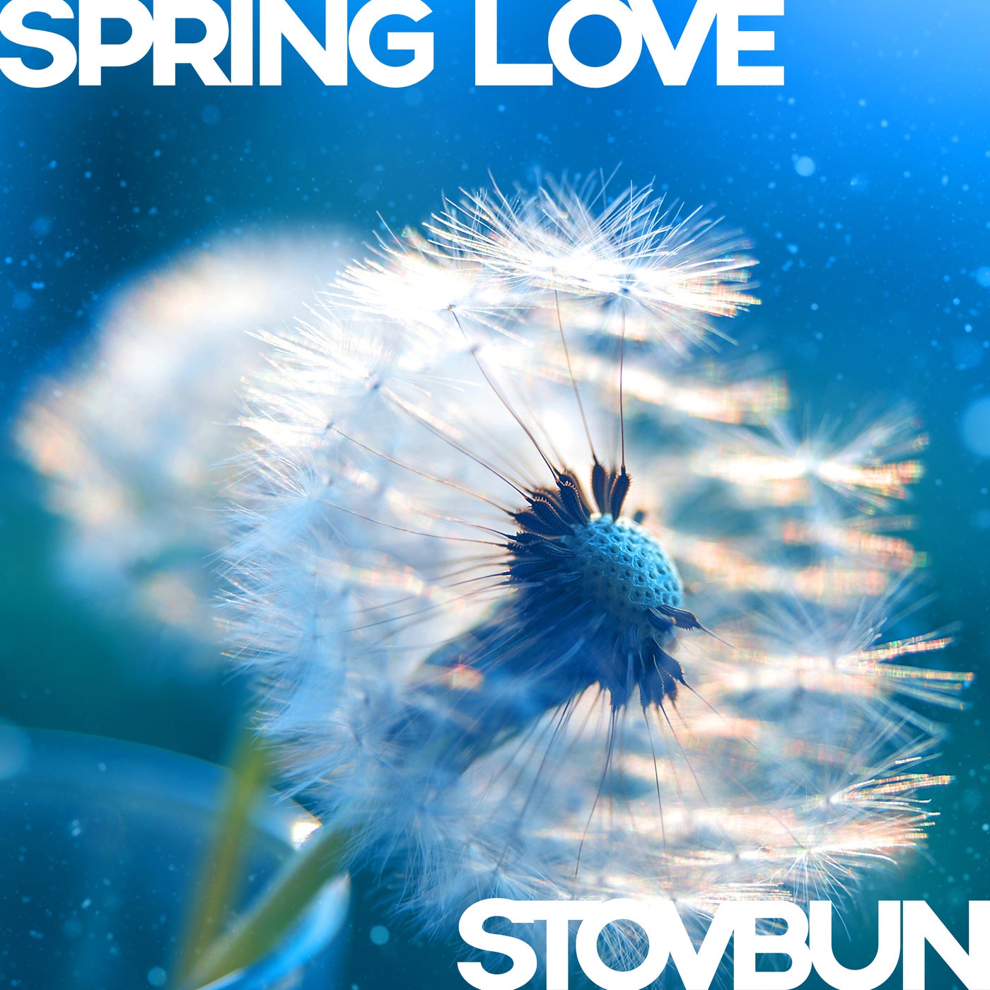 Spring Love