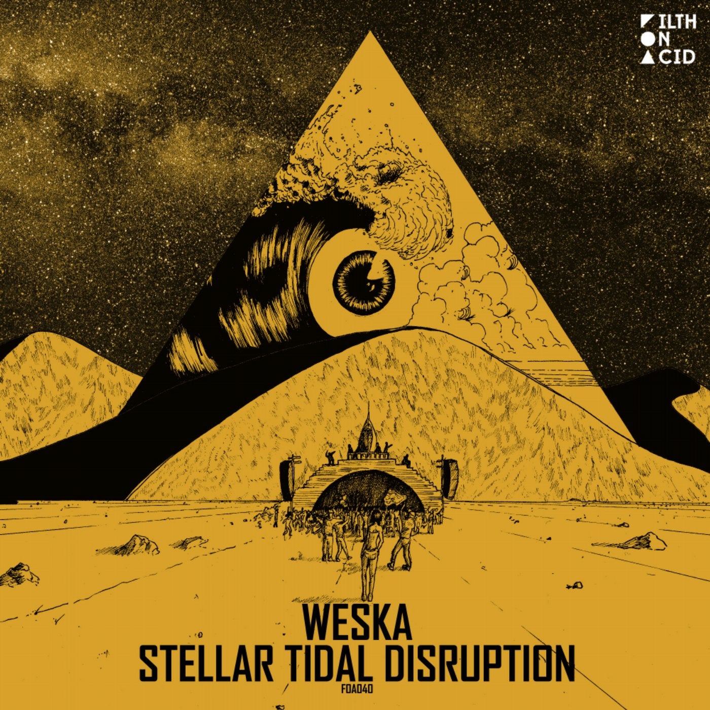 Stellar Tidal Disruption
