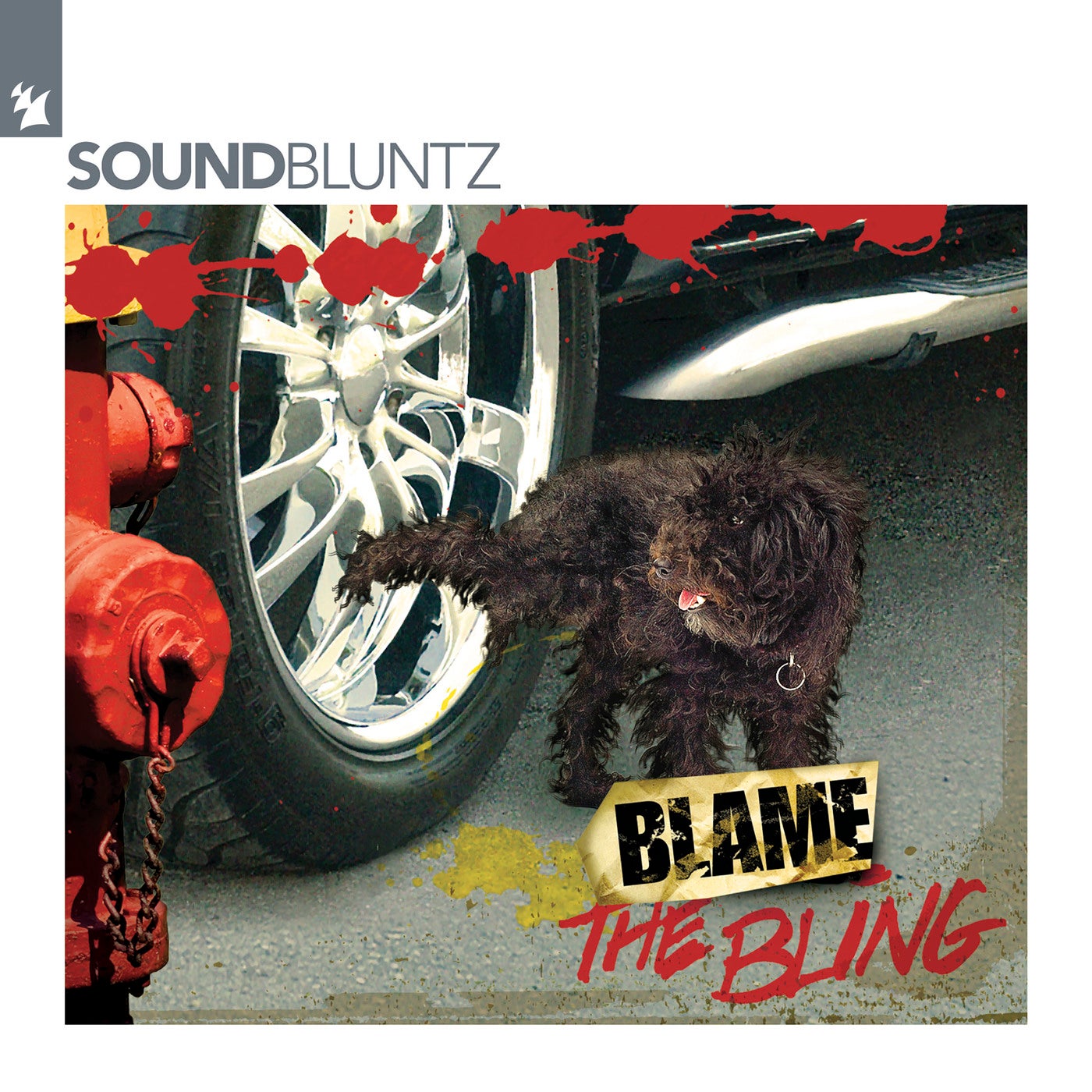 Blame The Bling