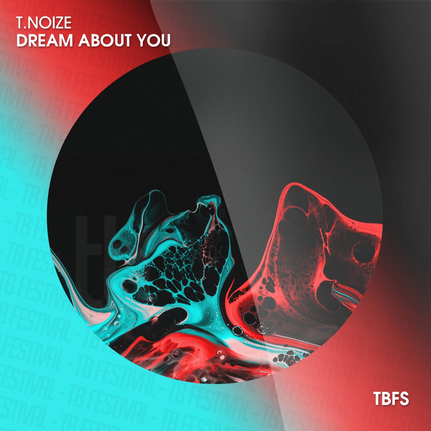 T.noize - Dream About You