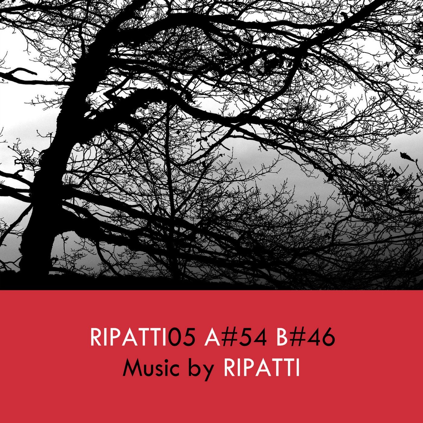 Ripatti05