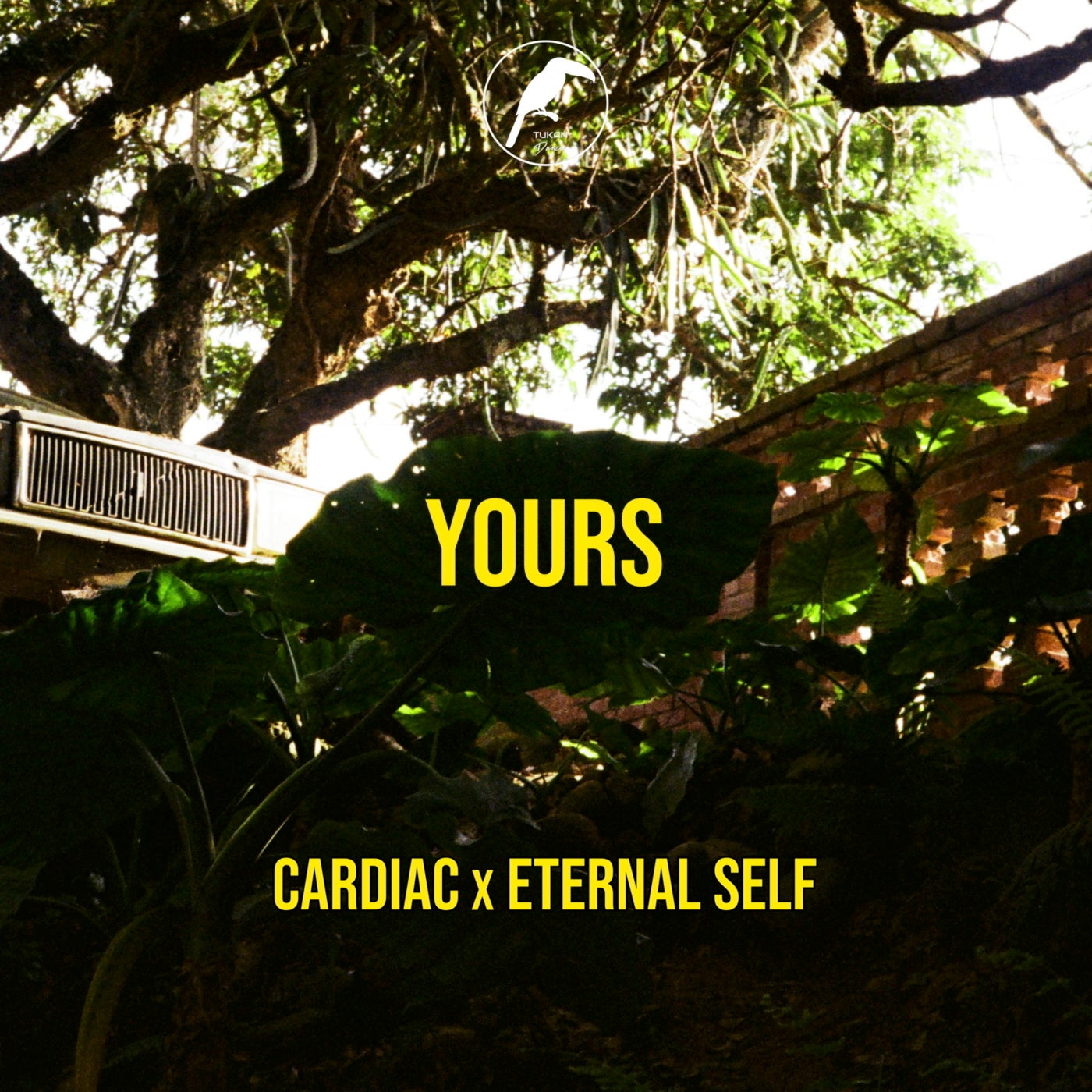 Yours