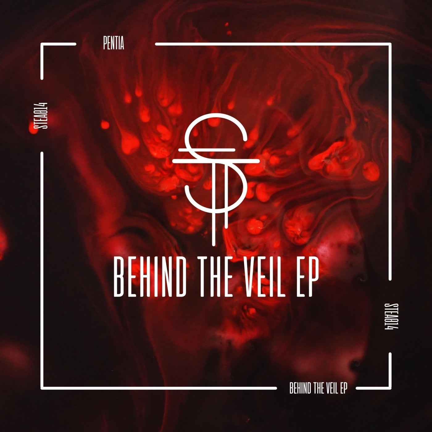 Behind the Veil