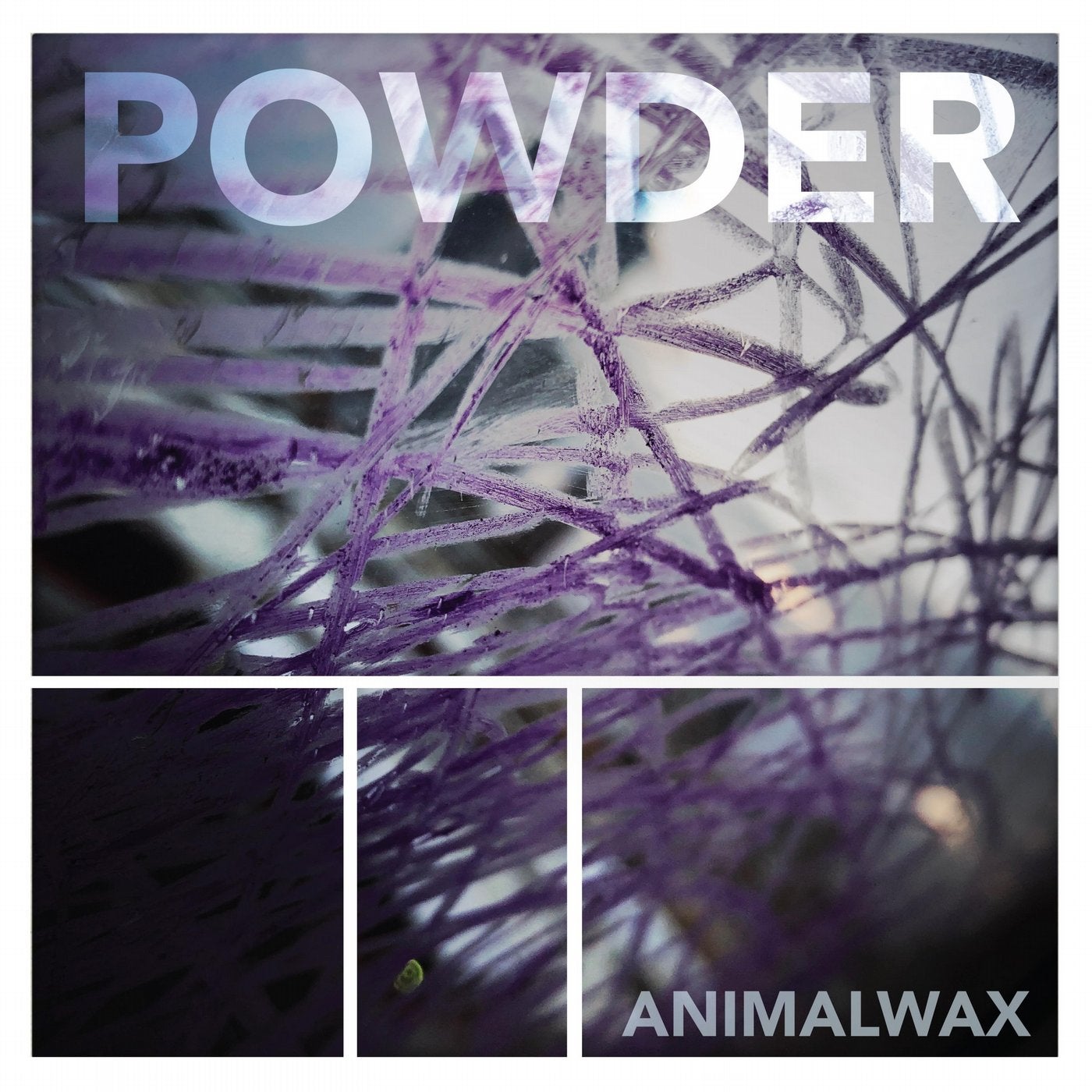 Powder