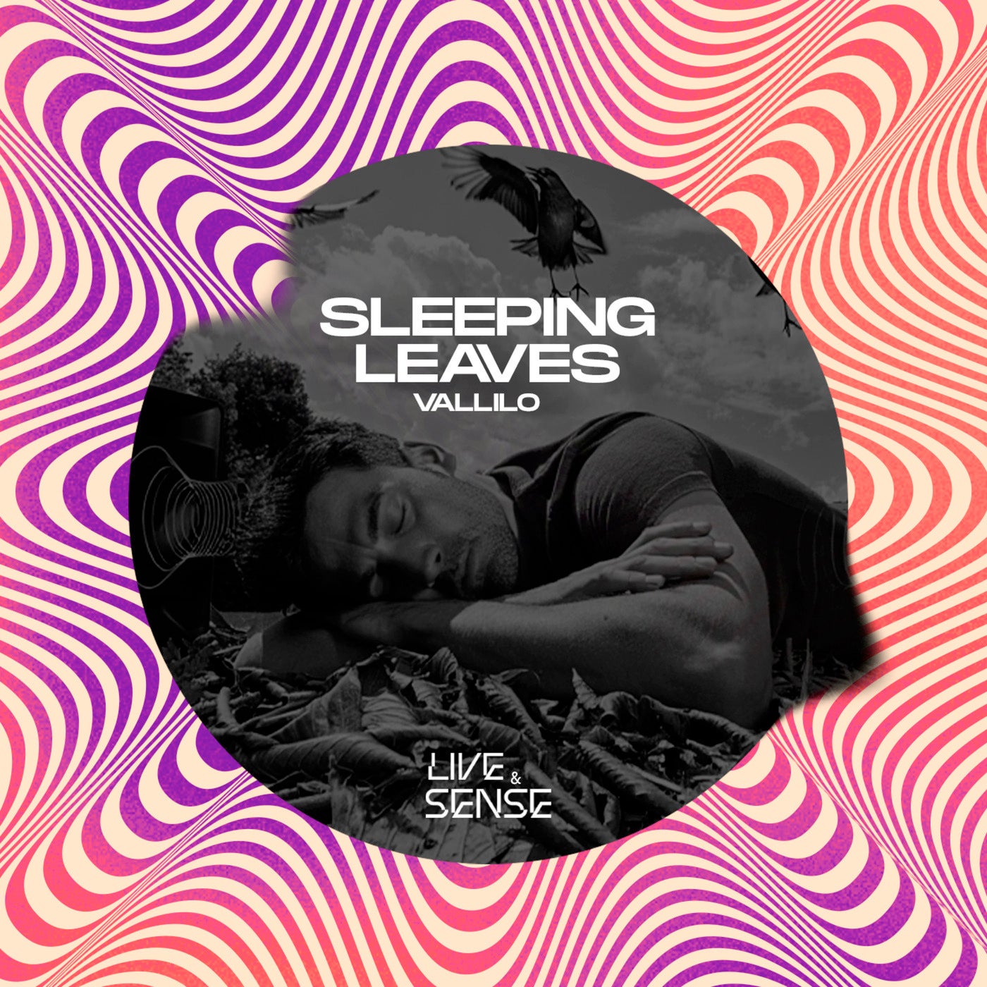 Sleeping Leaves