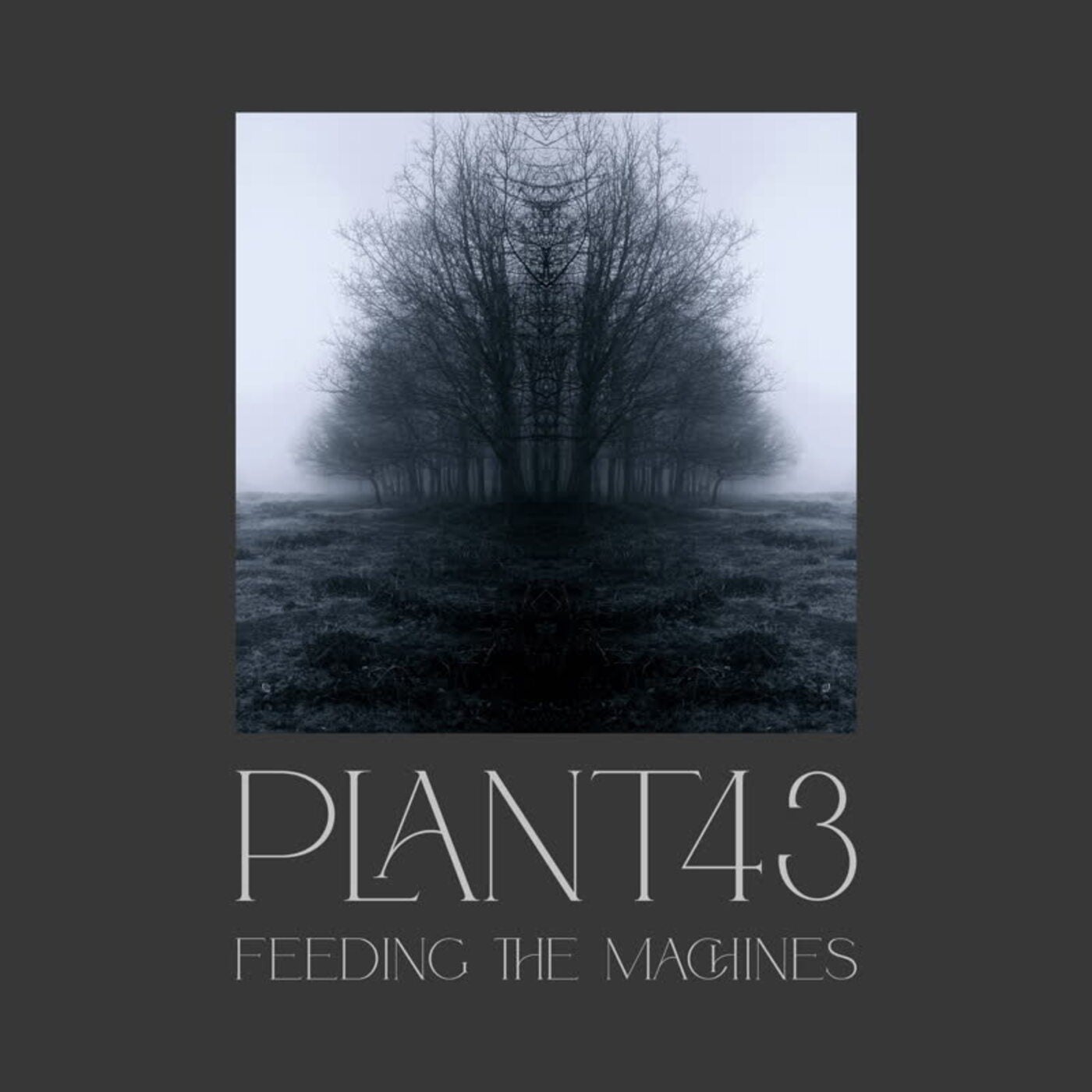 Feeding the Machines