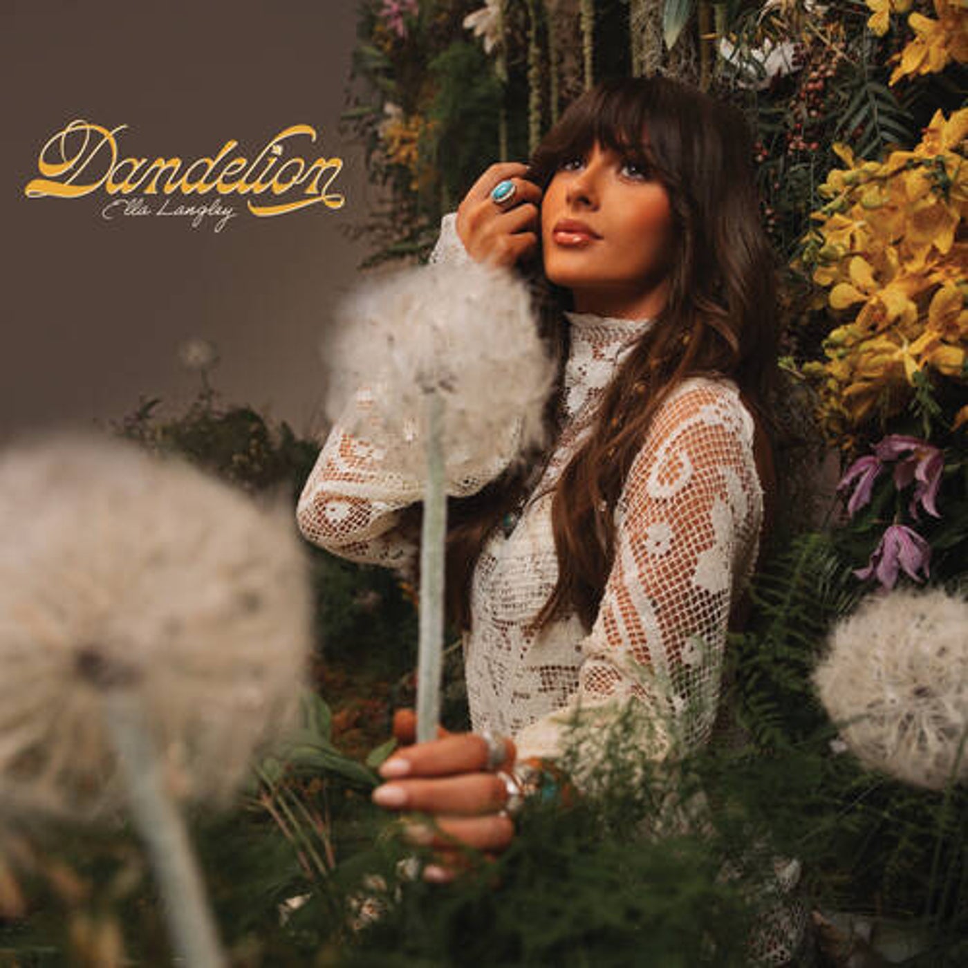 Country preview 8