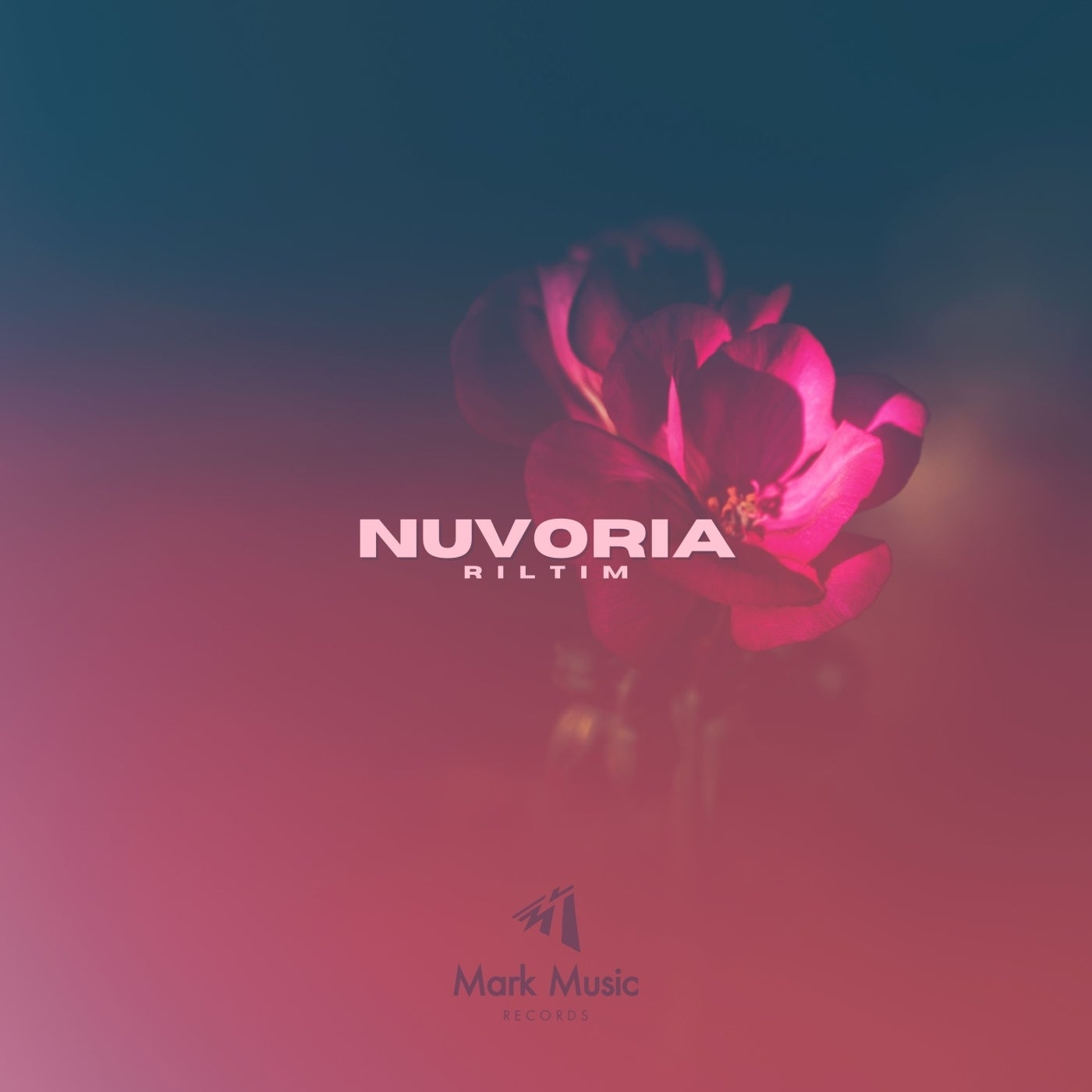 Nuvoria