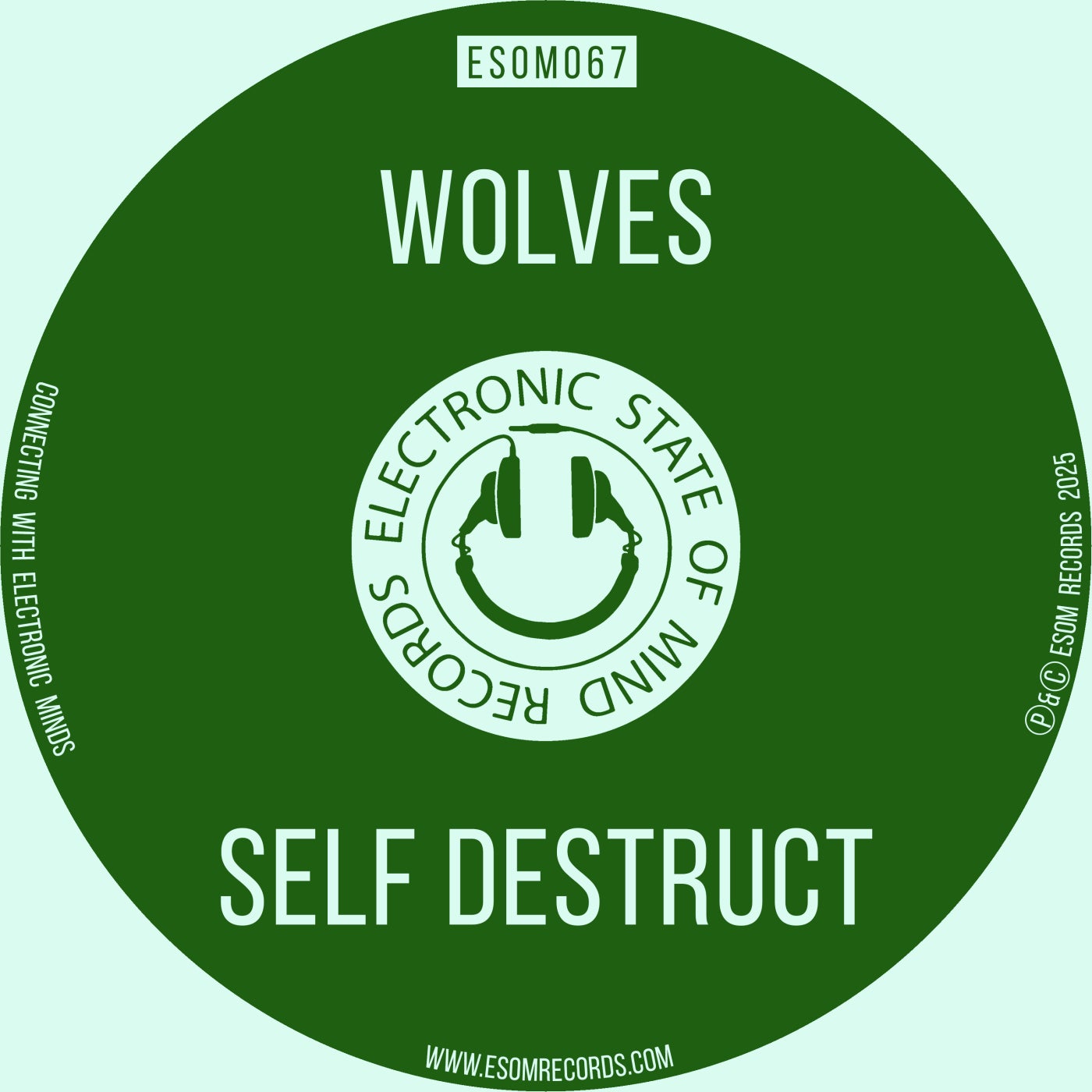 Self Destruct
