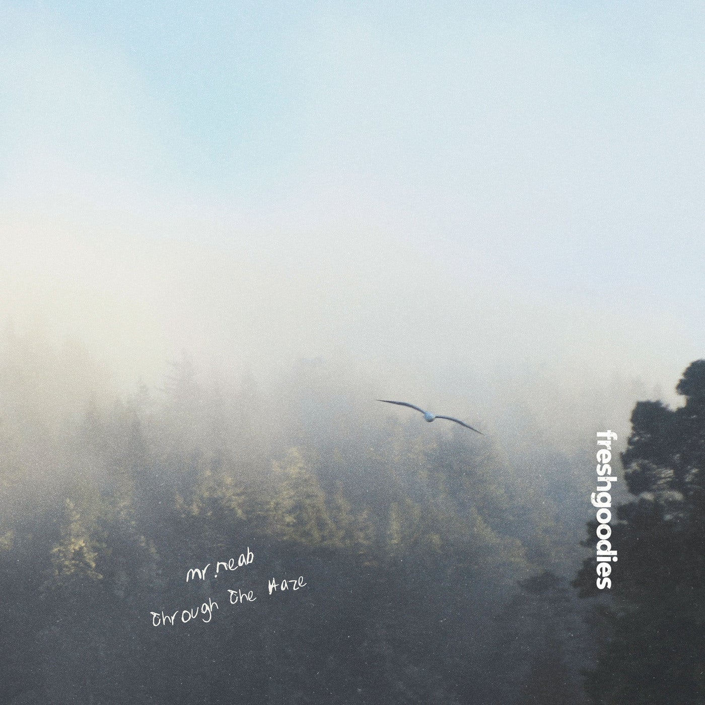 Through The Haze