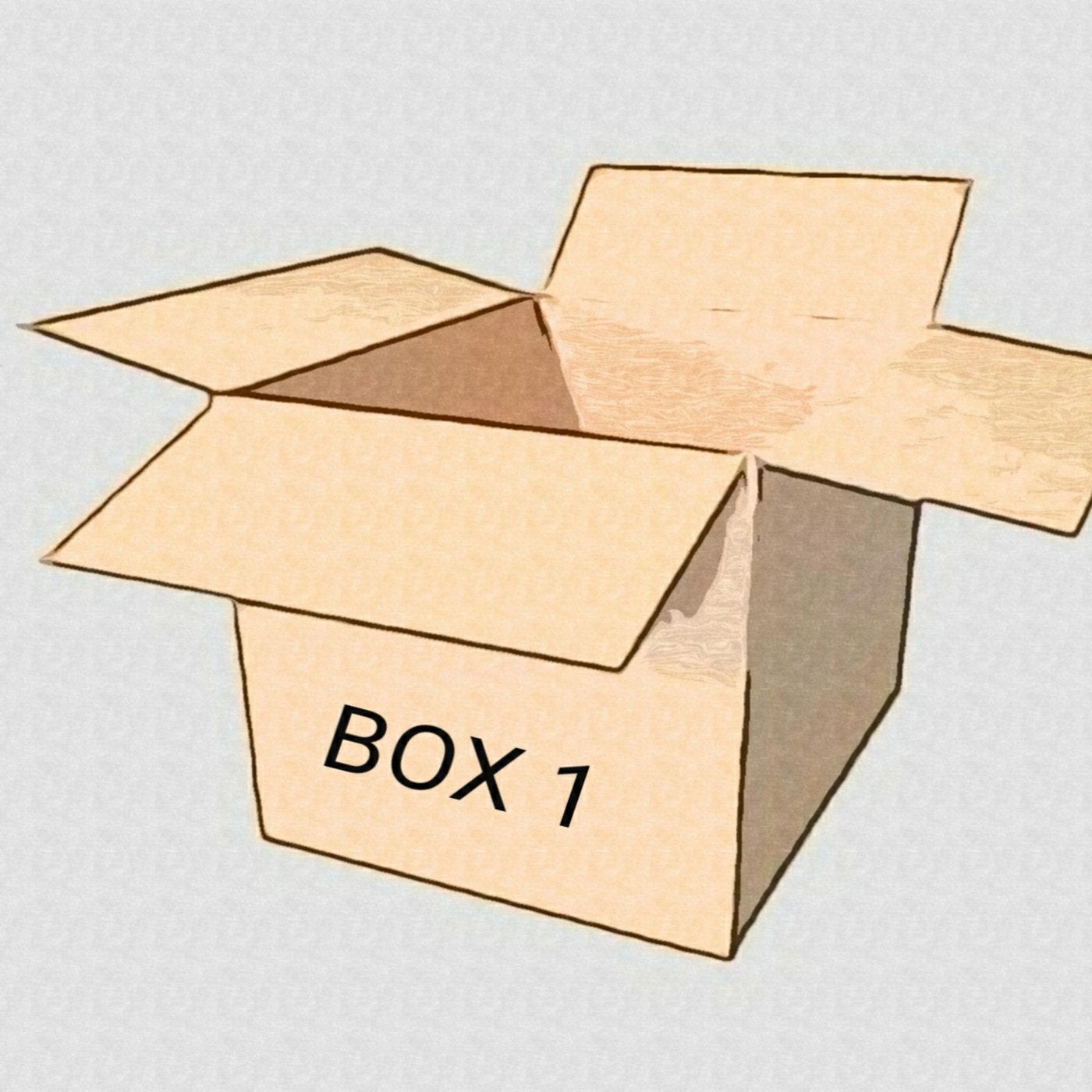 Box 1