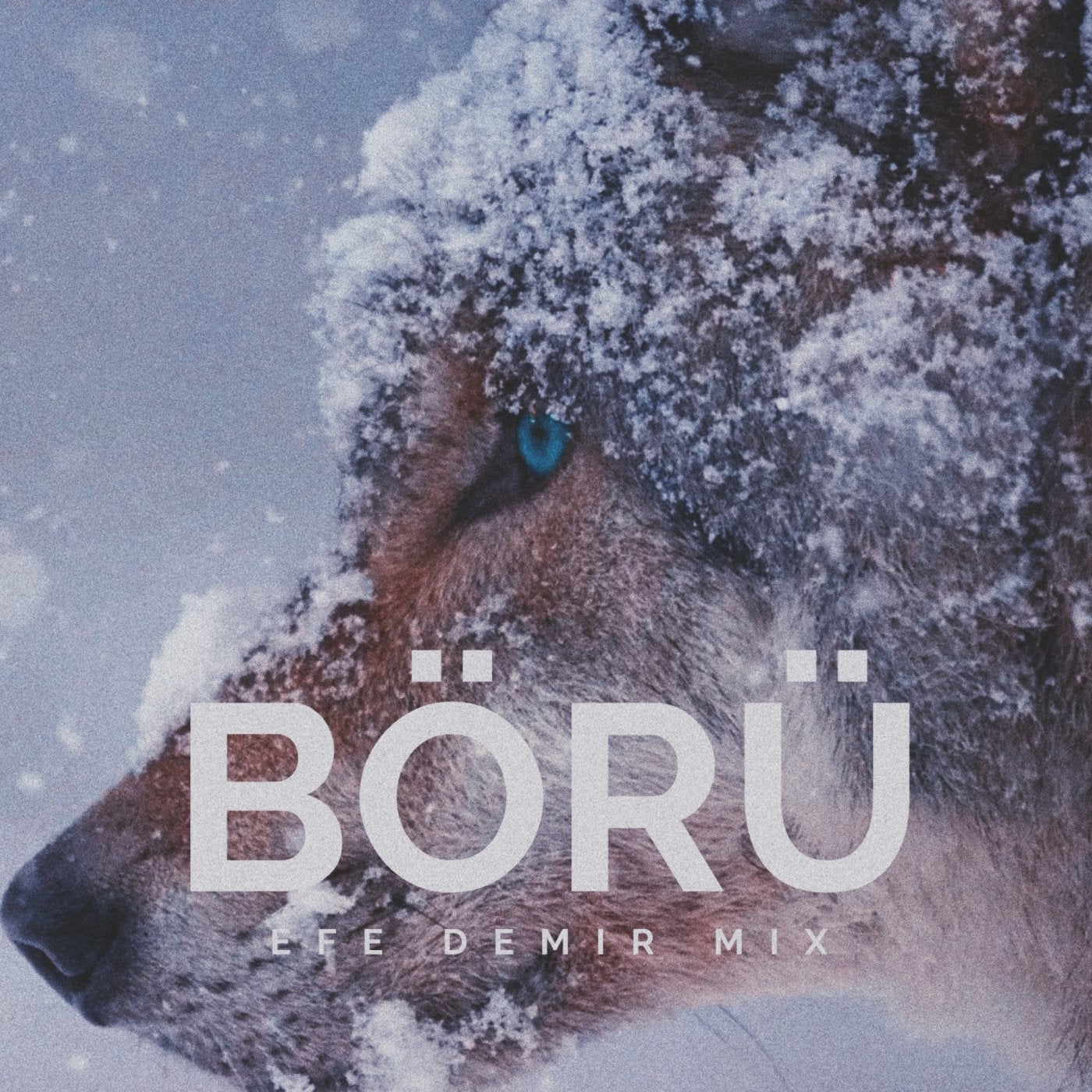 BÖRÜ