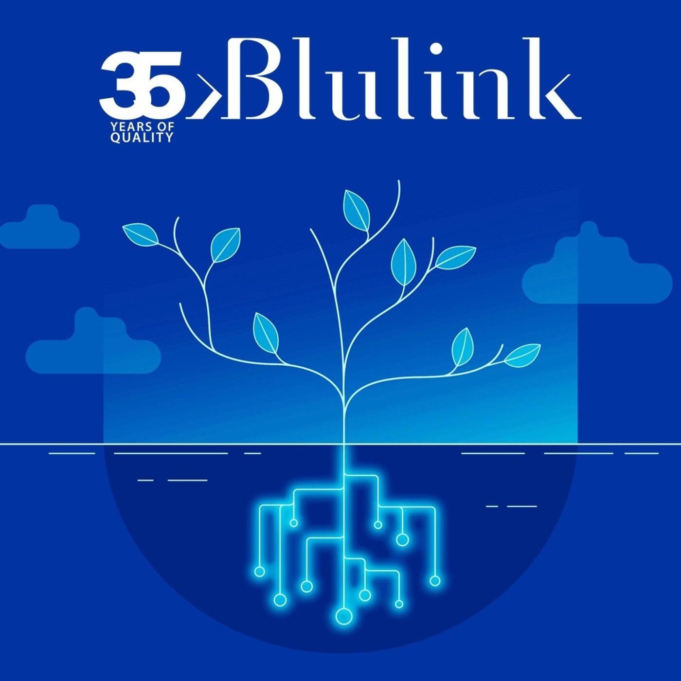 Blulink Day (Play to donate for CORE)