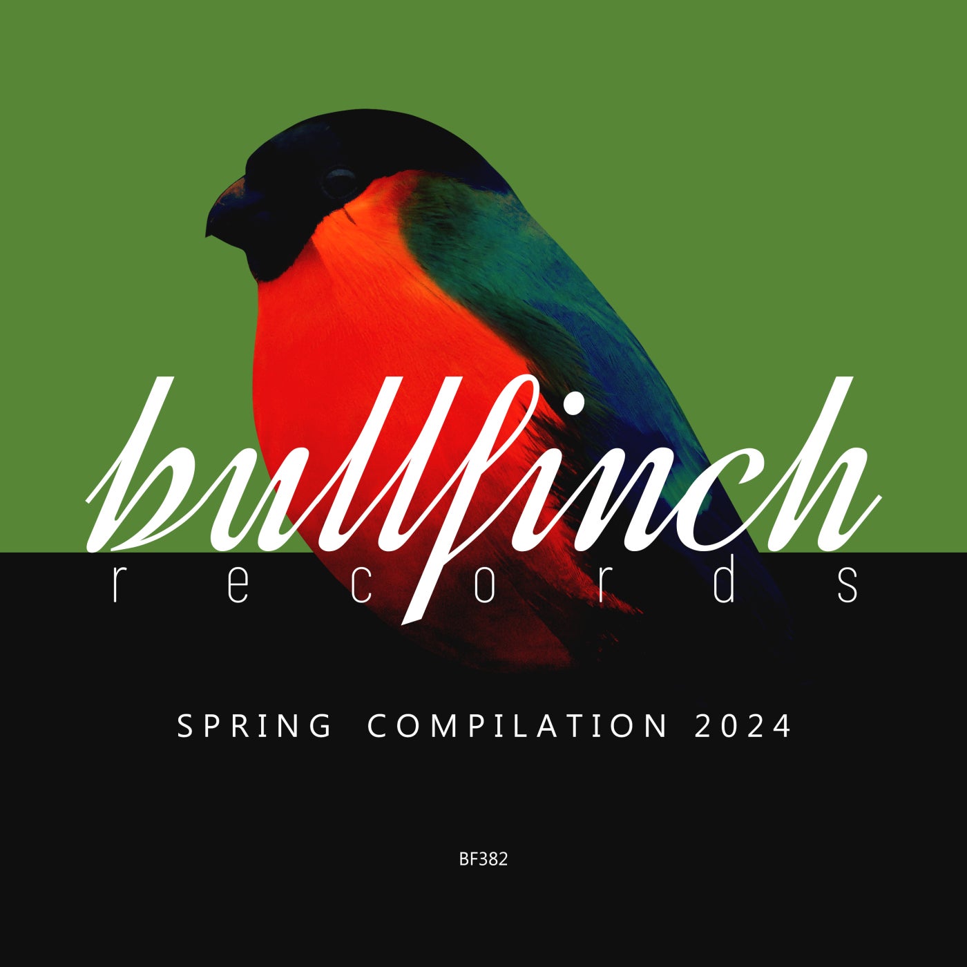 Bullfinch Spring 2024 Compilation