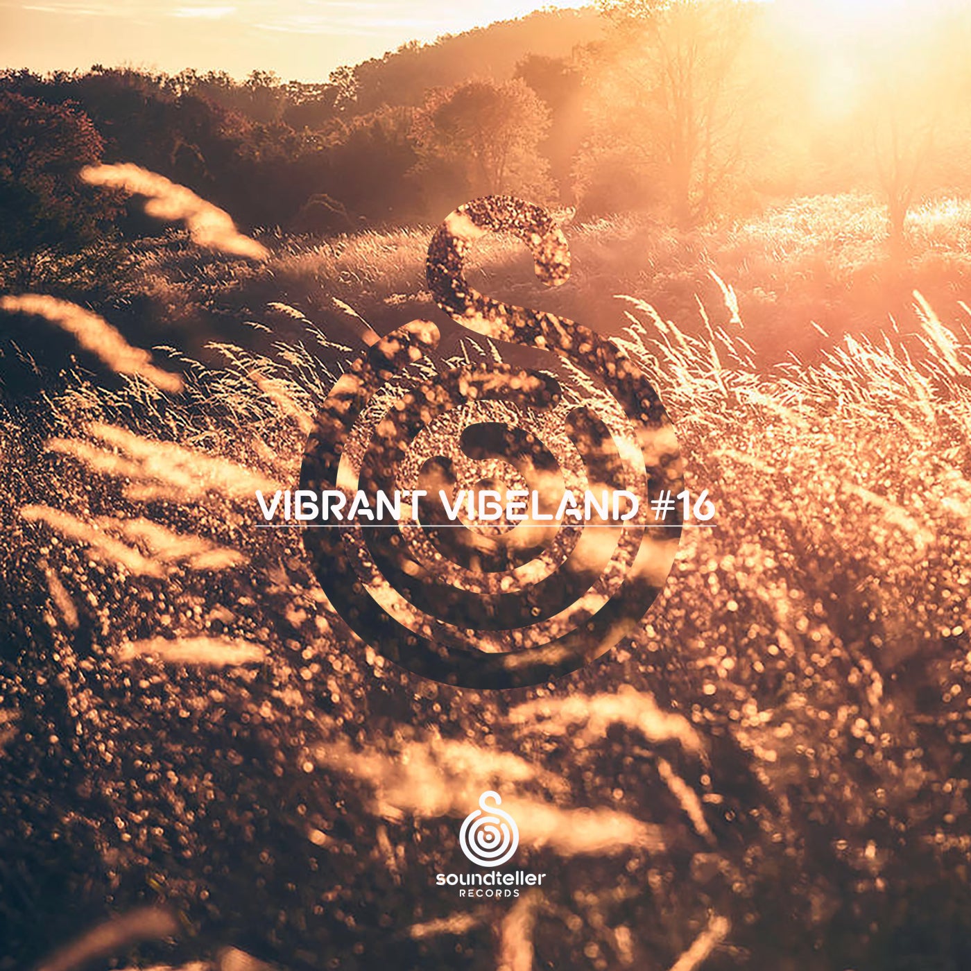 Vibrant Vibeland #16 ST321