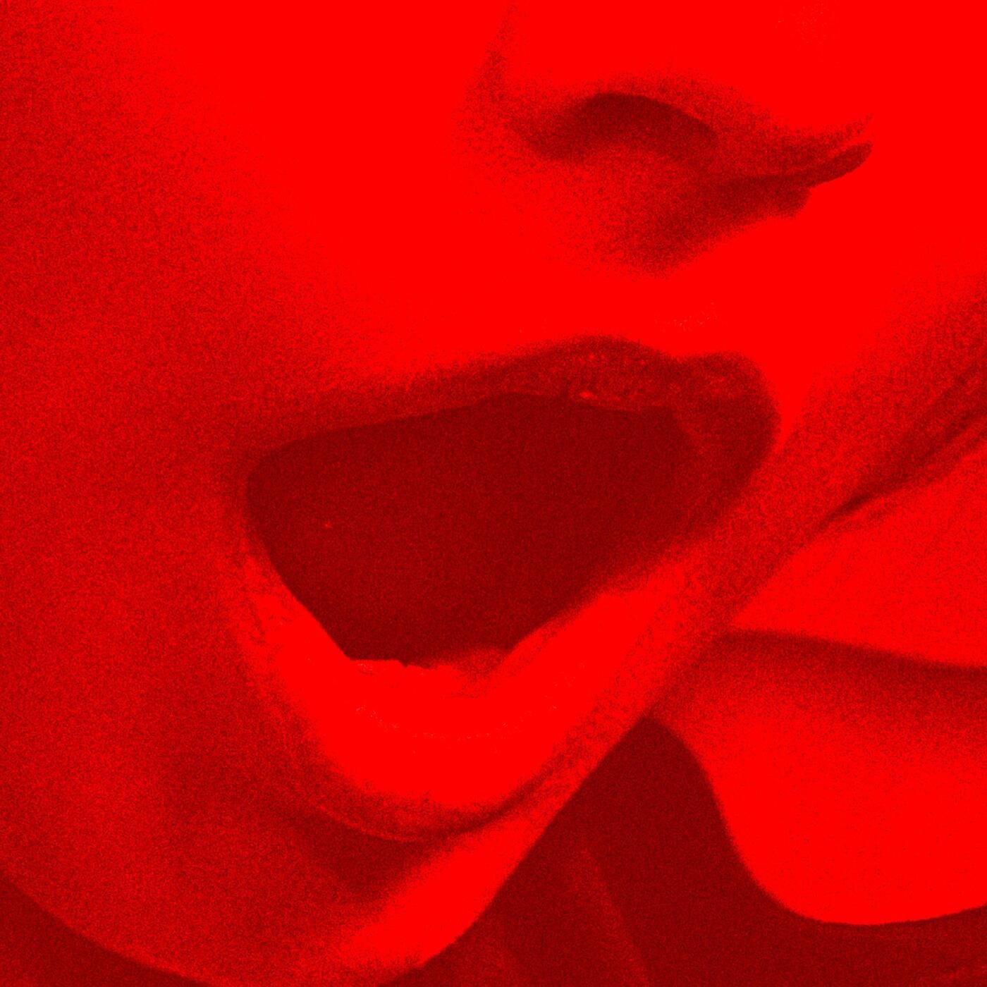 Sick, Twisted
