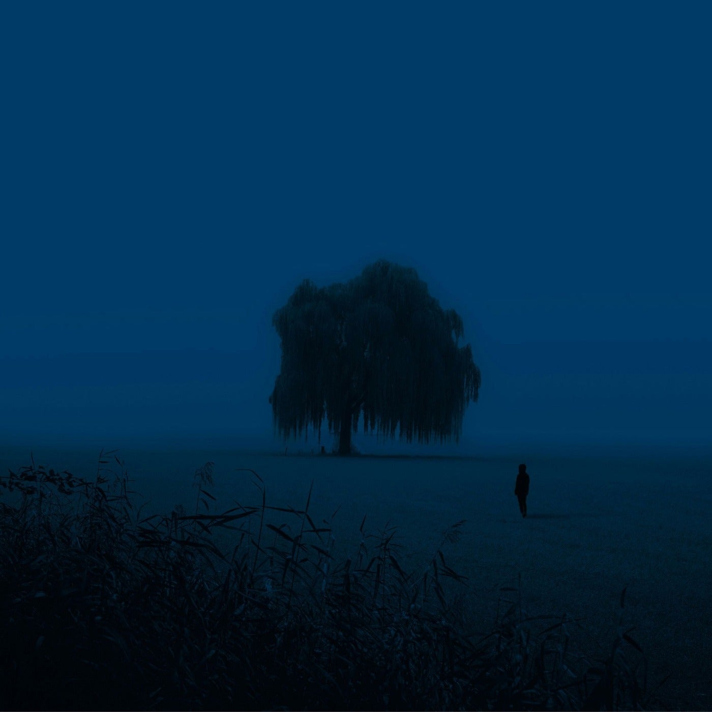 loneliness