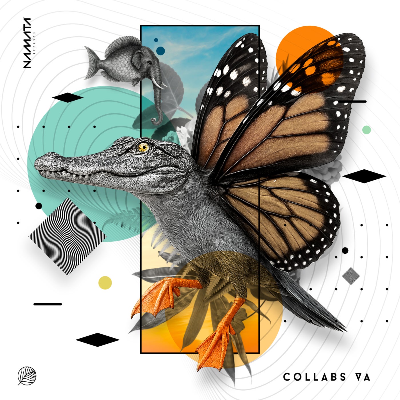 Collabs
