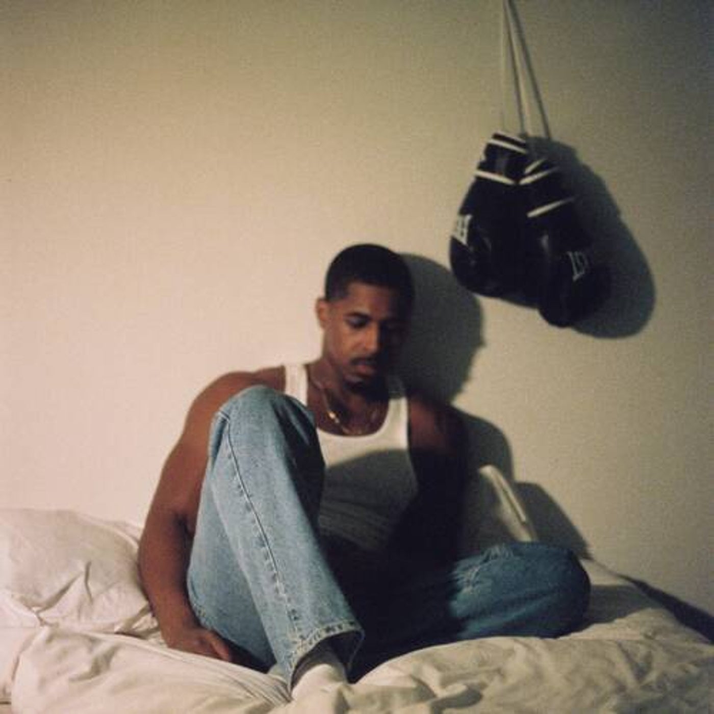 Cover art for A Brief Nirvana