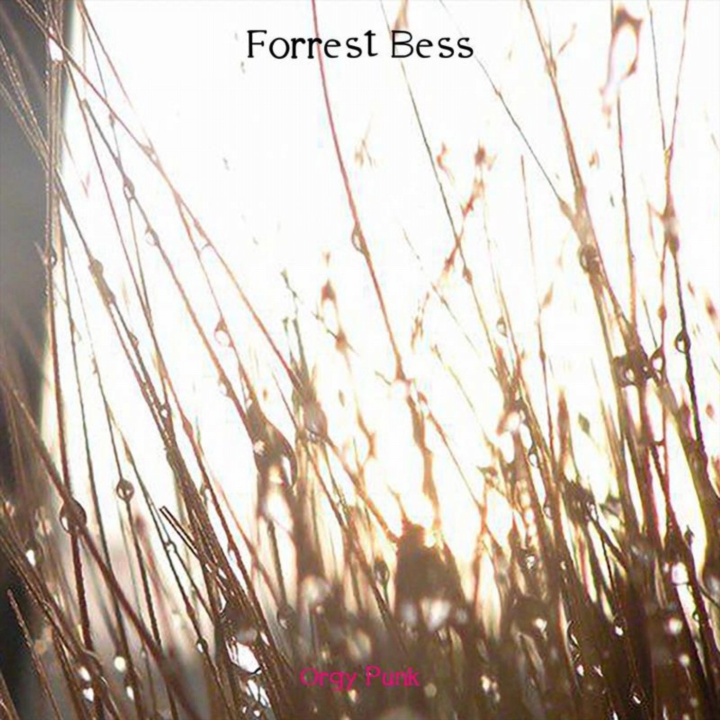 Forrest Bess