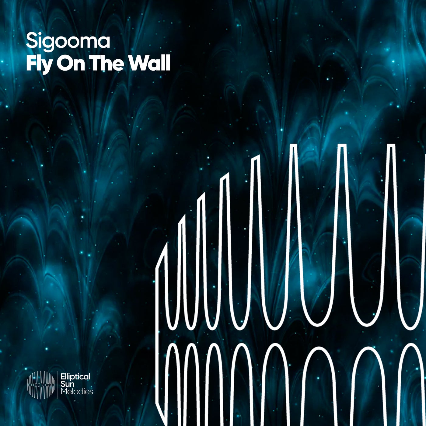 Fly On The Wall