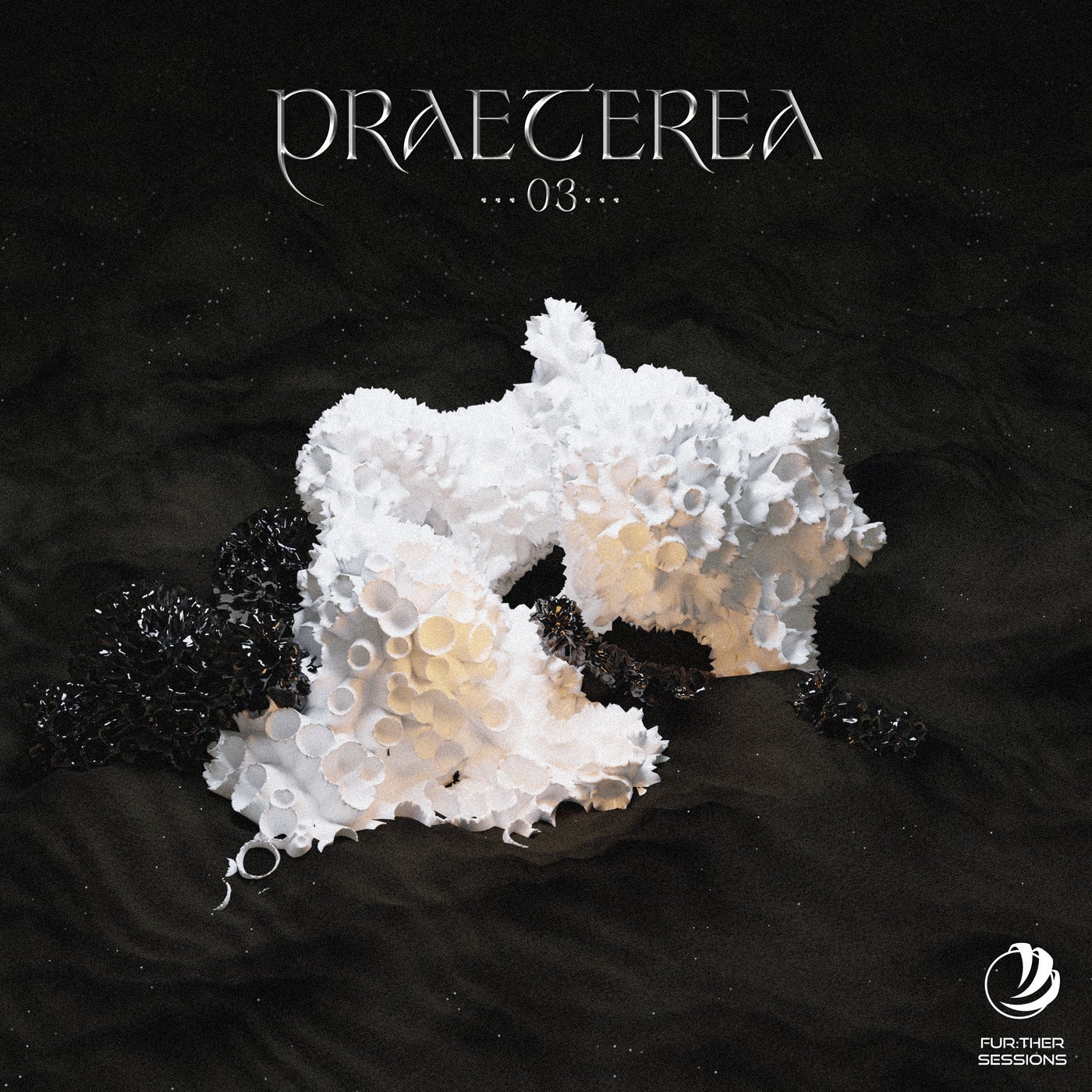 VA – Praeterea 03 FS011 VA – Praeterea 03 FS011