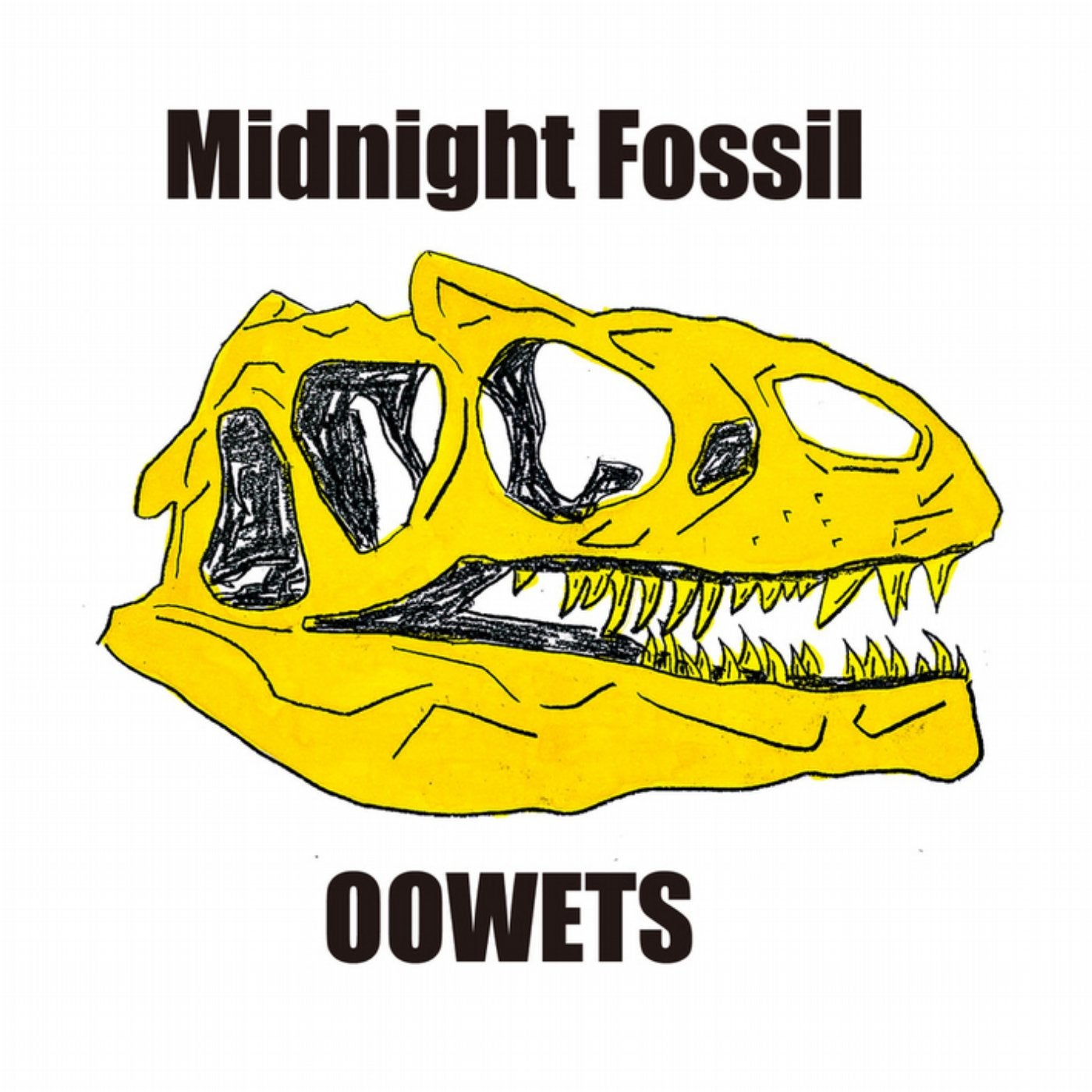 Midnight Fossil