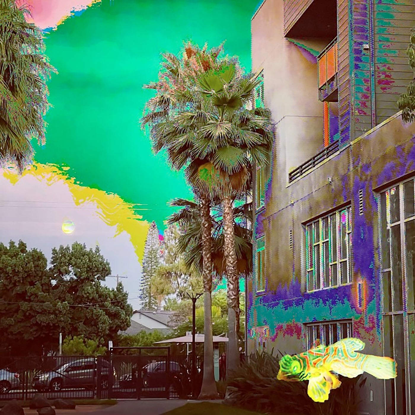 Paradise
