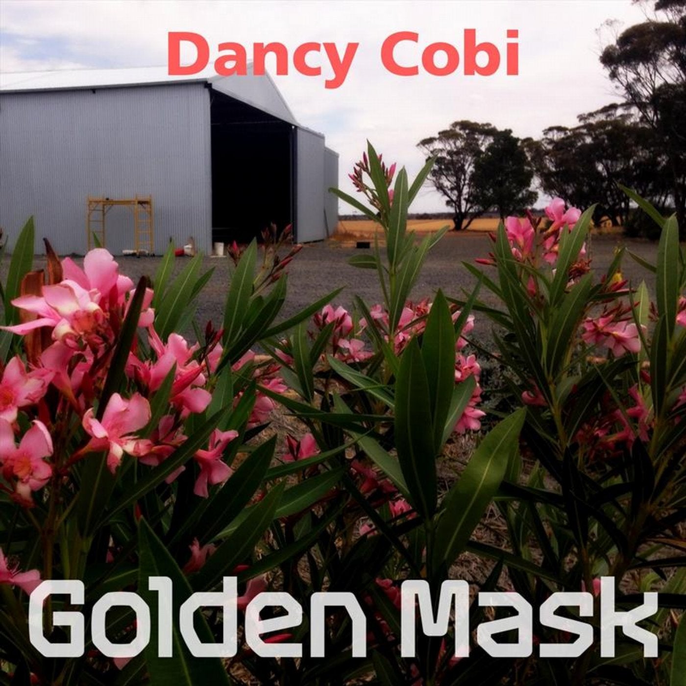 Dancy Cobi