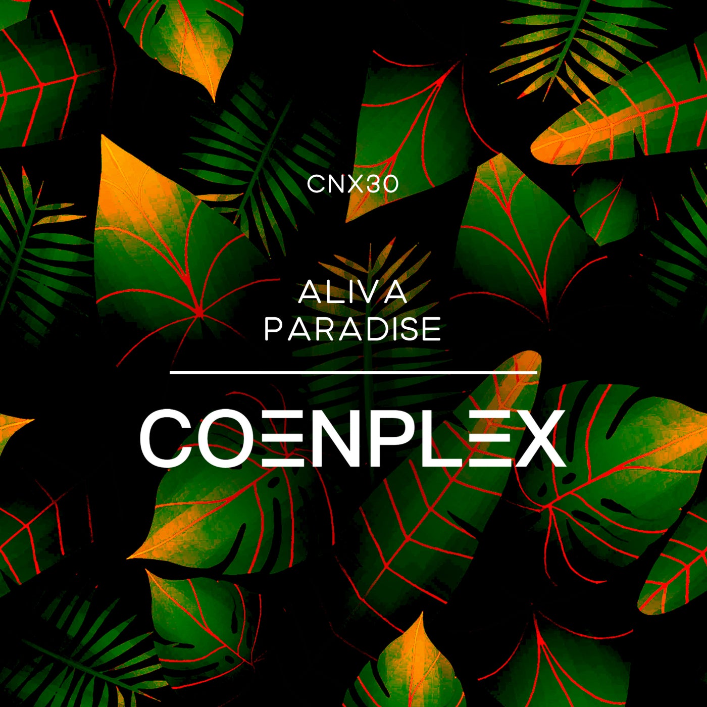 Paradise