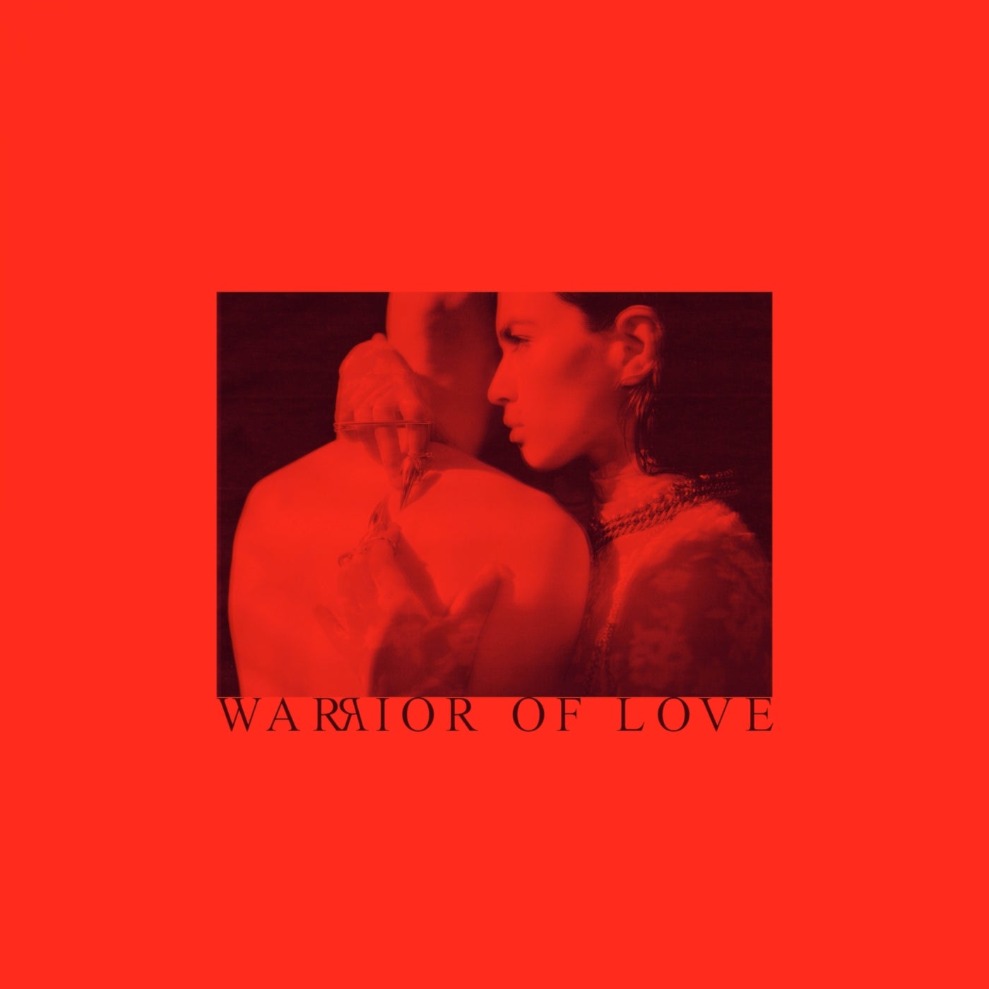 Warrior Of Love
