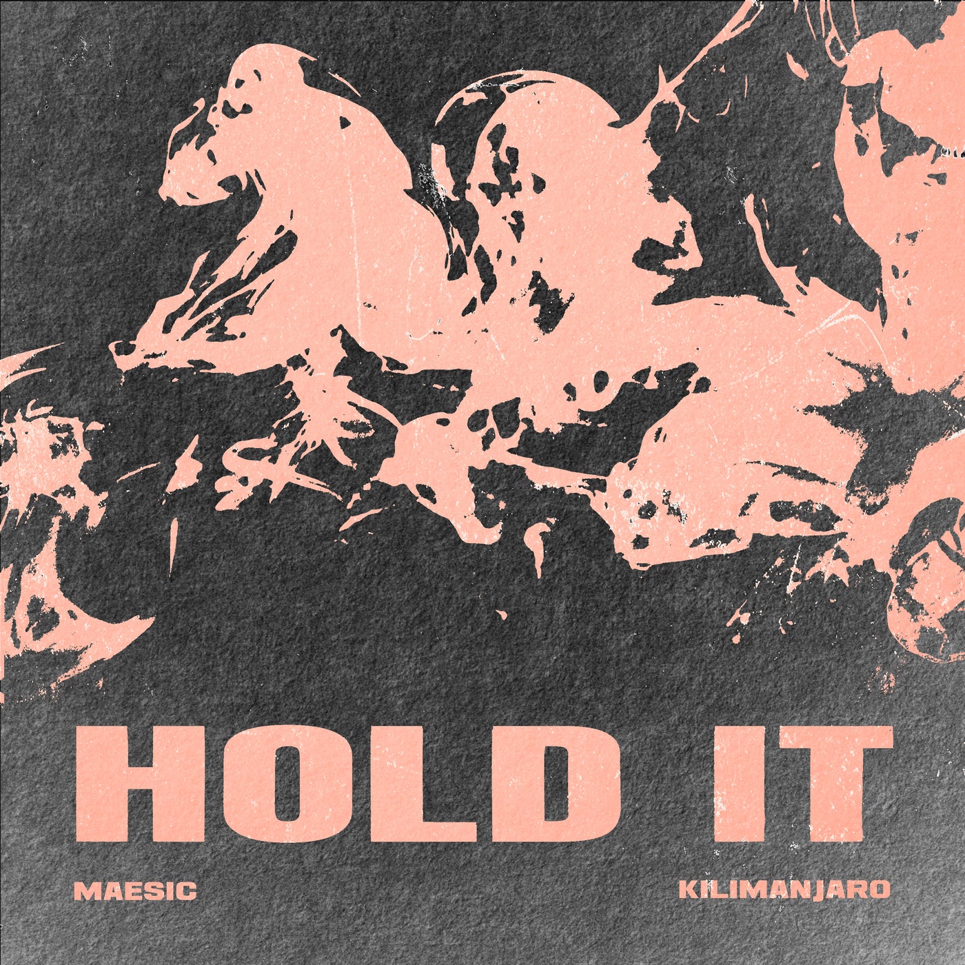 Hold It (Extended Mix)