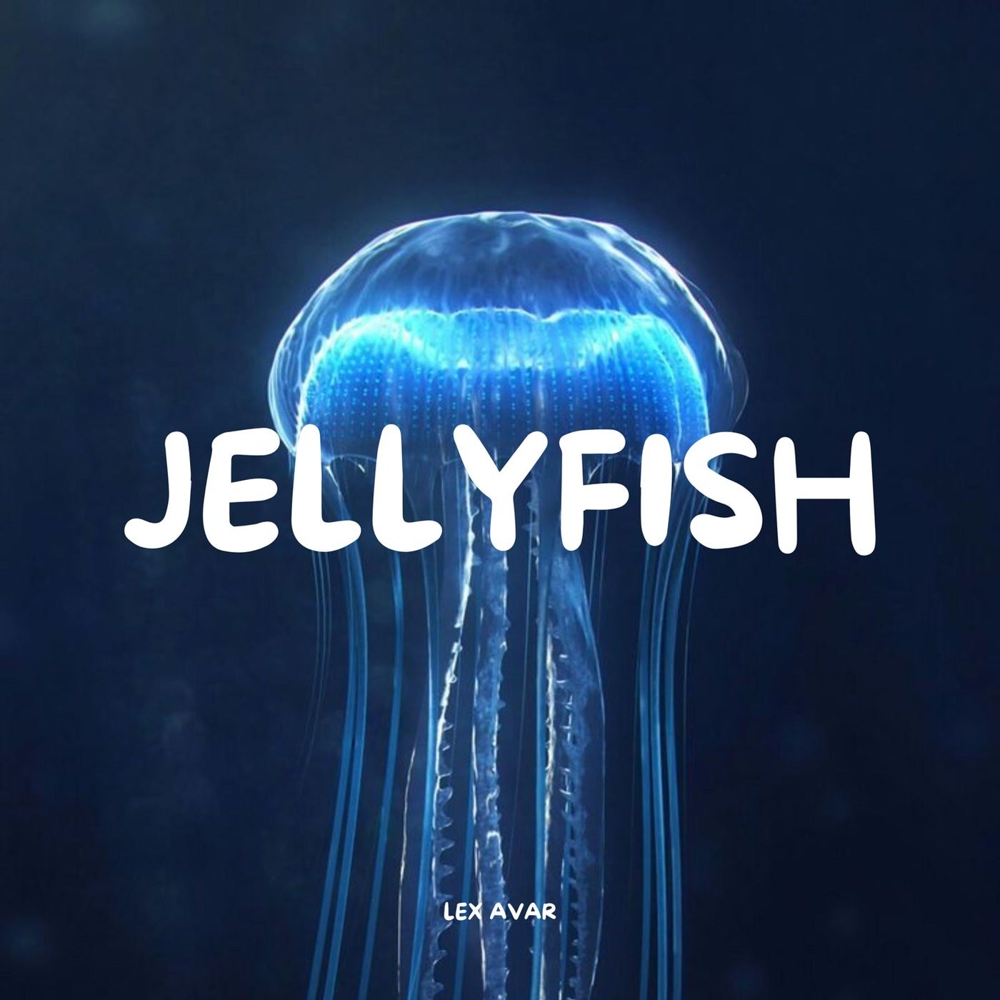 Jellyfish