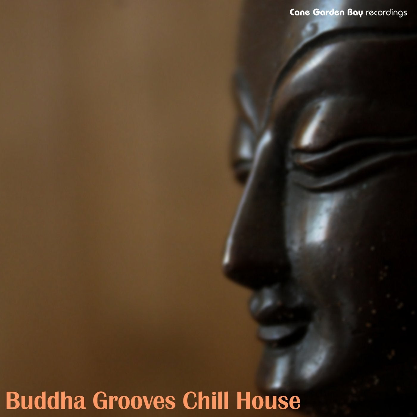 Buddha Grooves Chill House