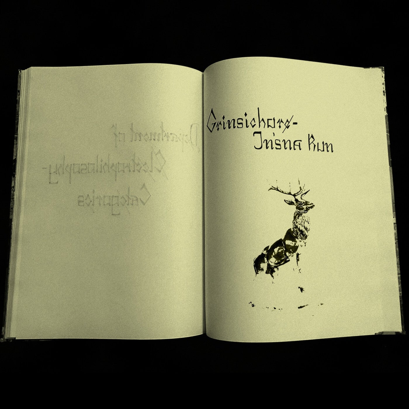 In'sna Run