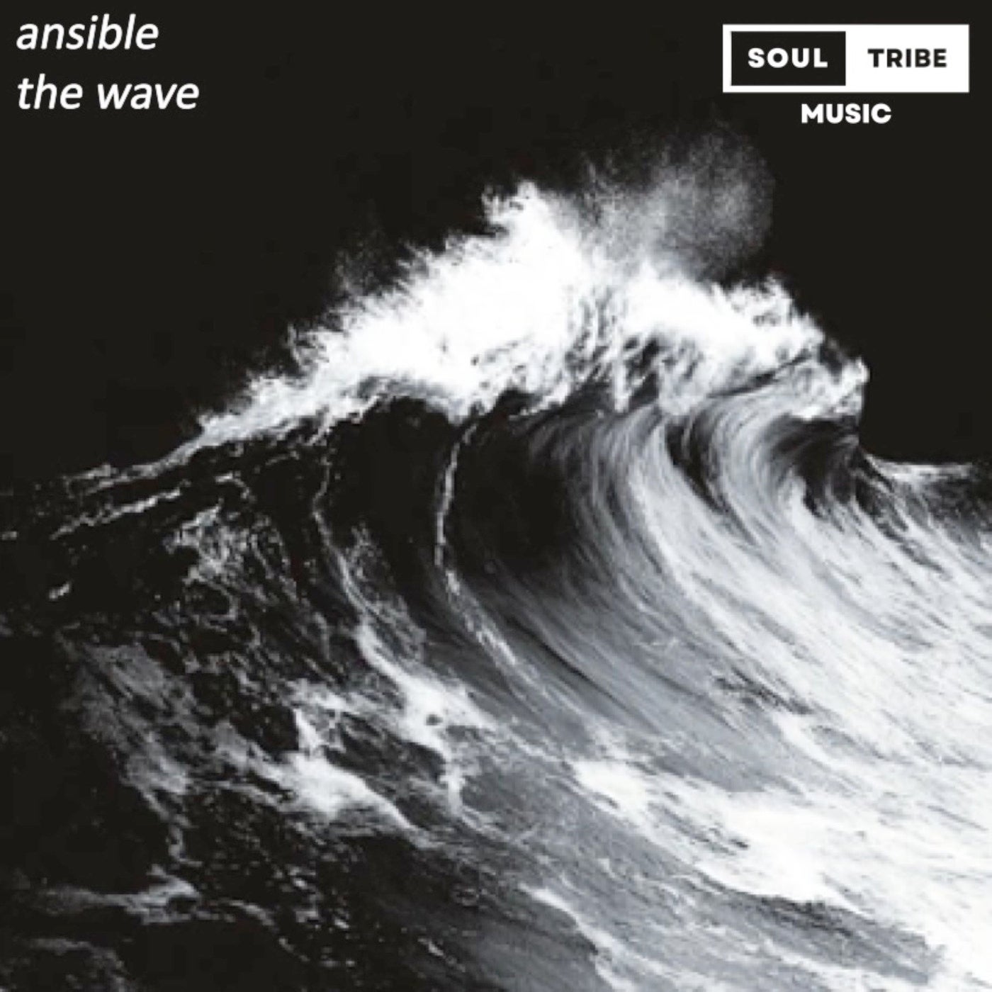 The Wave