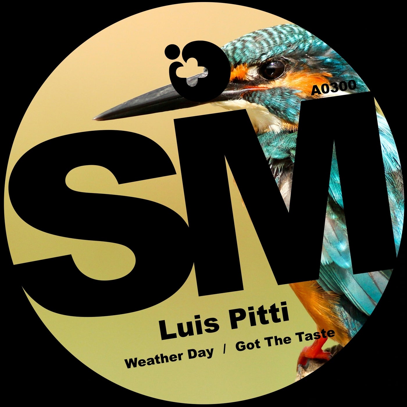 Weather Day