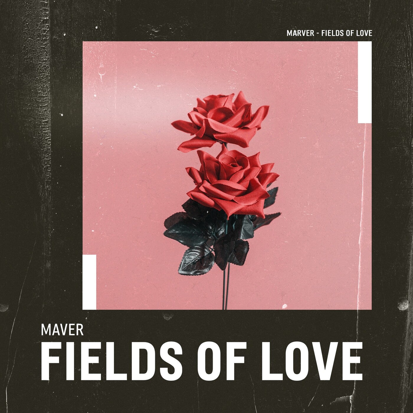 Fields of Love